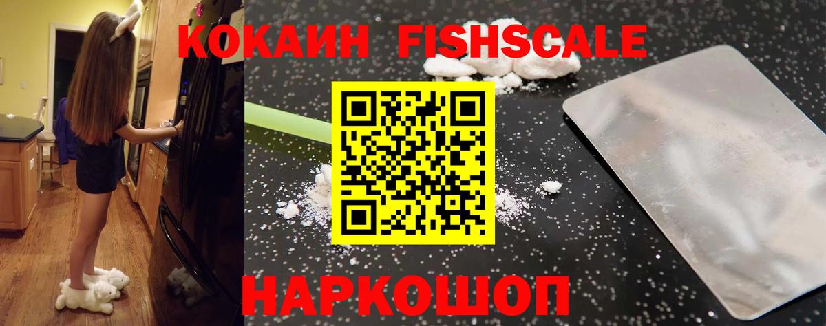 Cocaine FishScale  Вход с VPN  Наро-Фоминск  Cocaine FishScale 