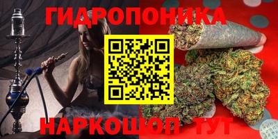 молекула духа Гатчина